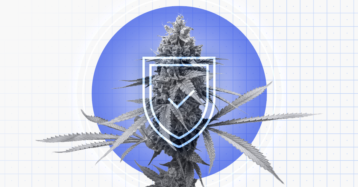 Calipsa Interviews Edgeworth about Optimizing Cannabis Security